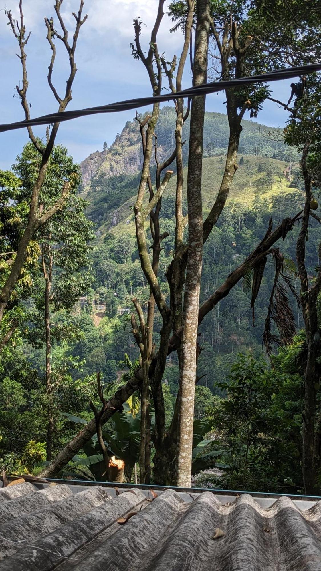 Ella Nature Nest Εξωτερικό φωτογραφία