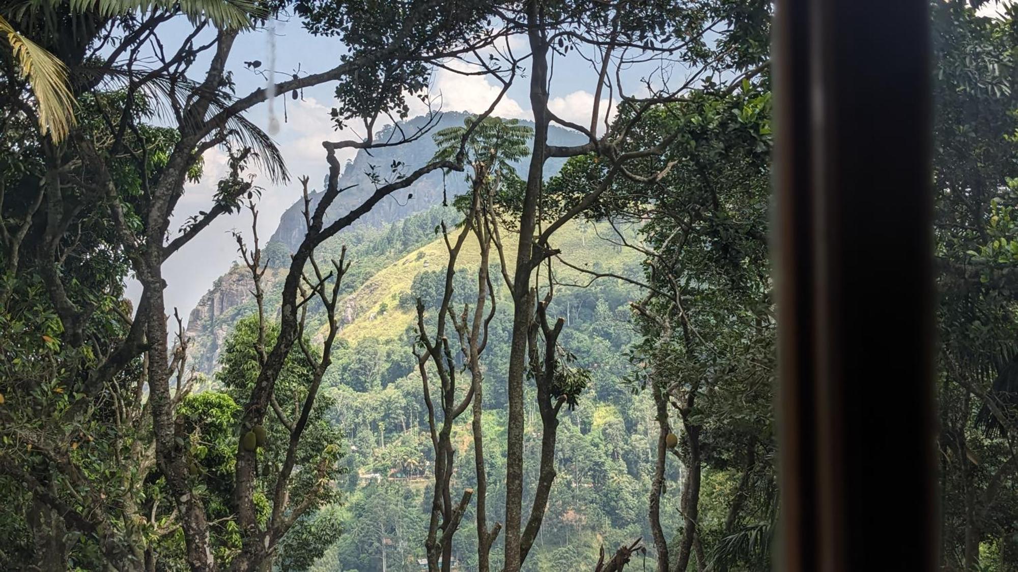 Ella Nature Nest Εξωτερικό φωτογραφία
