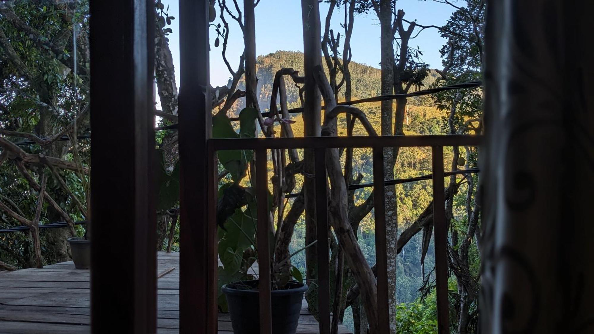 Ella Nature Nest Δωμάτιο φωτογραφία
